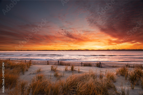 Autumn sunrise at the beach with grass and a dune fence in the foreground