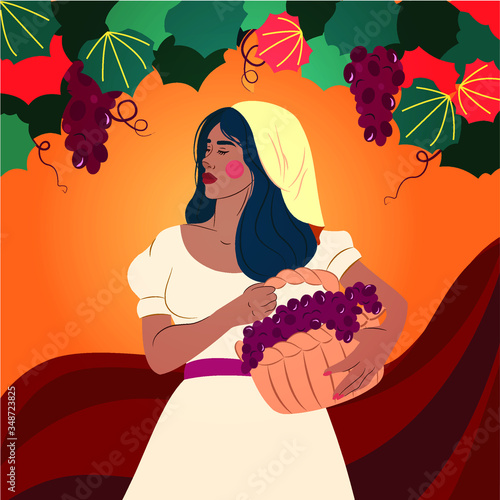 Young woman picking grapes at the vineyard. Winery, agrotourism and farming concept flat illustration.