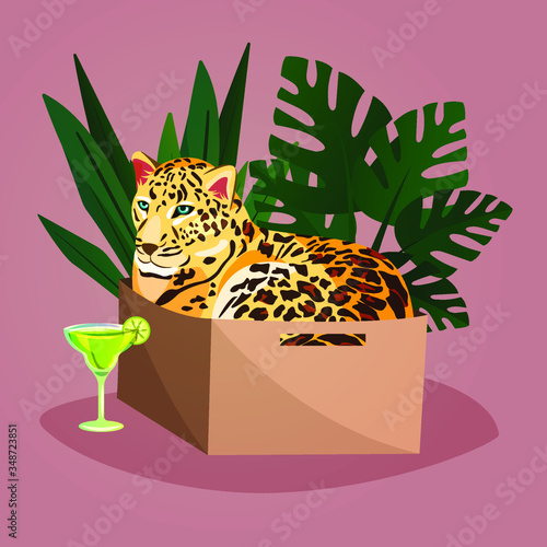Photography Leopard chilling in a carton box like a domestic cat with a glass of Margarita and tropical leaves on the background