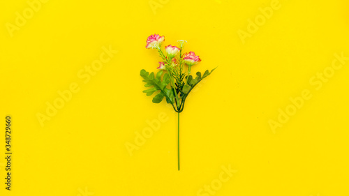 flower top view on yellow background minimalistic concept