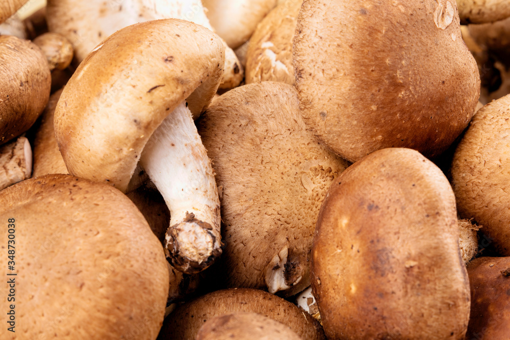 Background of delicious edible brown mushrooms Background of delicious edible brown mushrooms