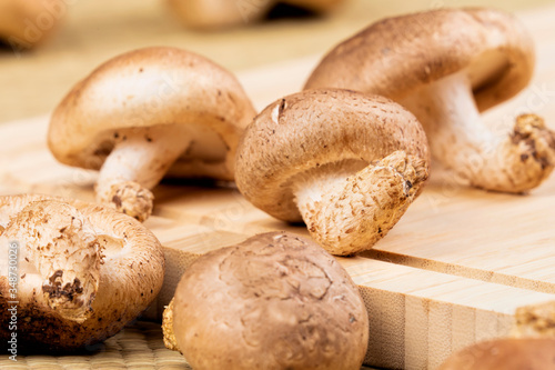 Background of delicious edible brown mushrooms