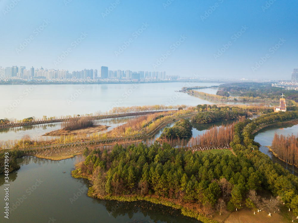 Aerial view, forests and lakes