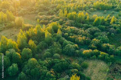 Warm sunset light shines on a forest with deciduous trees. Spring landscape aerial view © Zayne C.