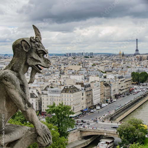 View from the towers of Notre Dame Cathedral, Paris, France.