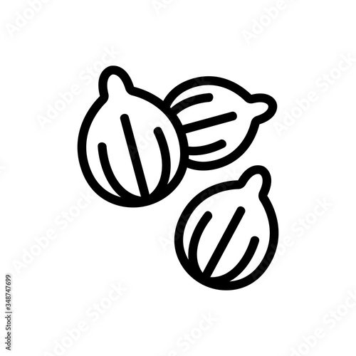 three coriander seed large view icon vector. three coriander seed large view sign. isolated contour symbol illustration