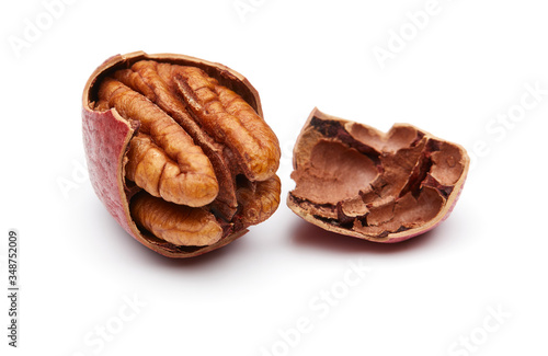 Pecan Isolated on White Background