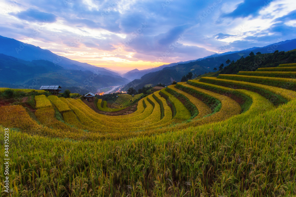 Fototapeta premium Terraced rice paddy field landscape of Mu Cang Chai, Northern Vietnam