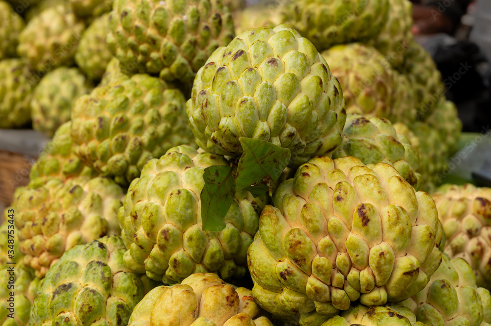 Custard apple fruits, Annona reticulata, are on display for sale at New Market area, Kolkata, West Bengal, India. Custard apple fruits, Annona reticulata, are on display for sale at New Market area, Kolkata, West Bengal, India.