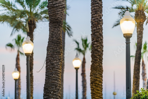 Esplanada Boulevard in the city of Alicante. Alicante province. Spain photo