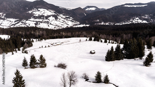 the bridge through the reeds at the end of summer