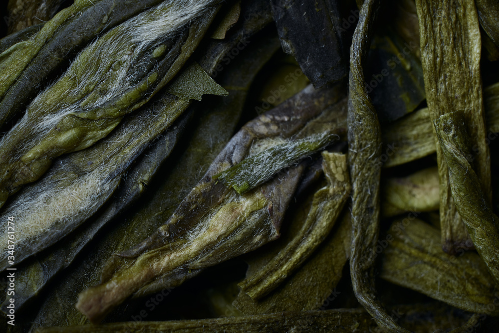 dry green tea leaves macro background dry green tea leaves macro background