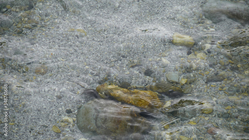 Mountain river with clear water, waves on the surface of the water, transparent bottom. Stones in the river.