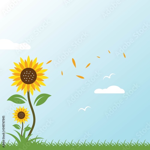 sunflowers background vector illustration