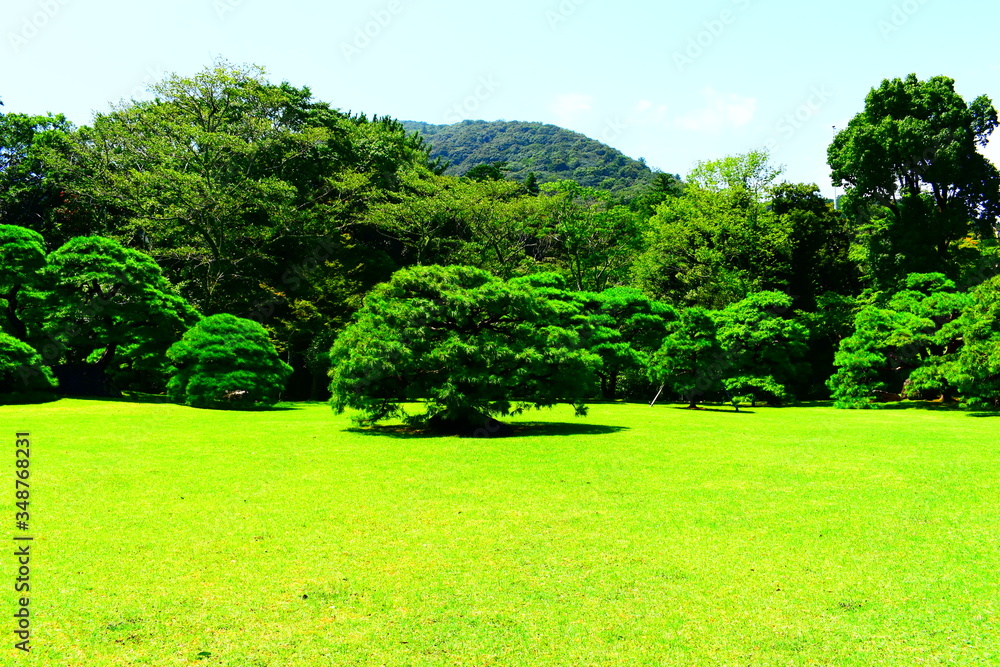 Naklejka premium 日本の夏