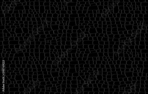 Crocodile skin pattern. Black viper, drawing on the snake skin. Reptile surface monochrome croc leather texture. Animal background for printing. Vector wallpaper