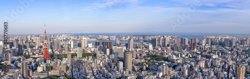 Panorama Tokyo city skyline with Tokyo Tower at dusk in Japan, Colorful color - Image