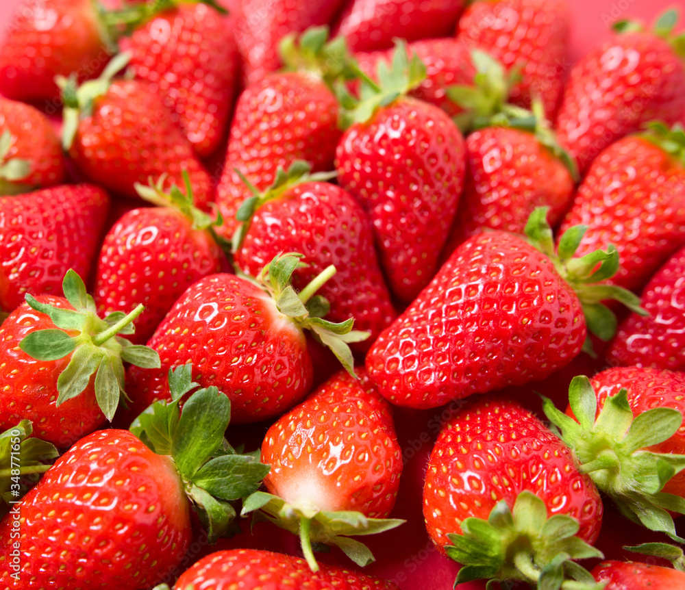 Ripe juicy orgaic strawberries on a red background. Ripe juicy orgaic strawberries on a red background.