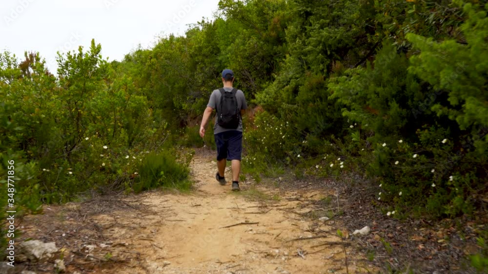 Man walking on mountain through green bushes and flowers, hiking on beautiful alley, following shot Man walking on mountain through green bushes and flowers, hiking on beautiful alley, following shot