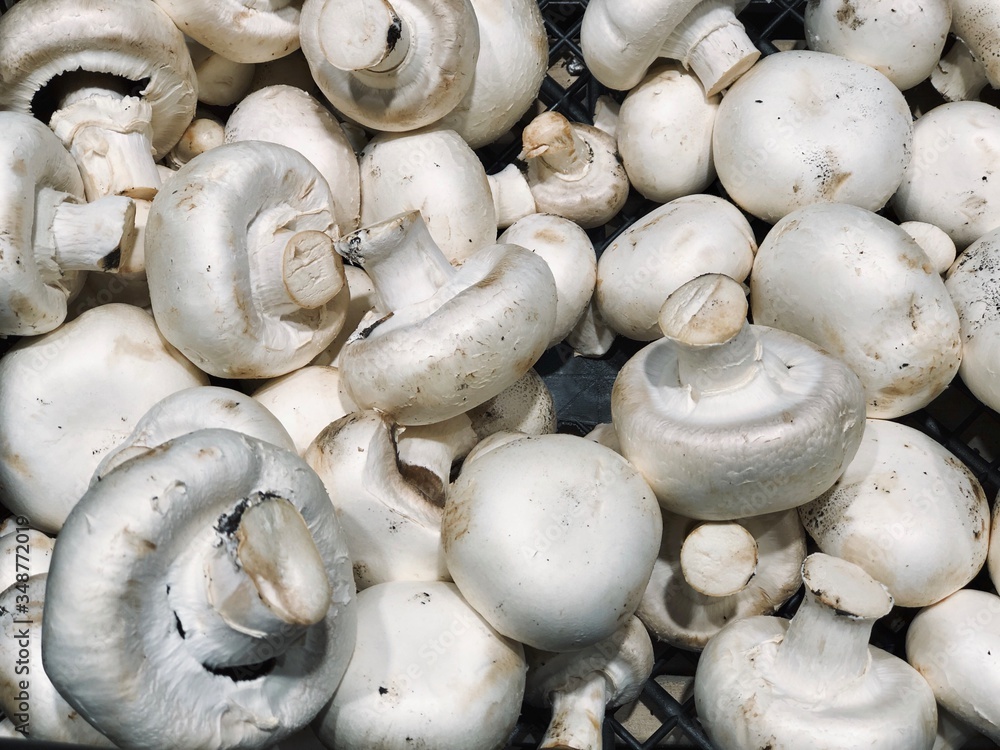 white mushrooms for food textures 