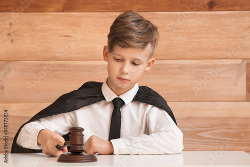 Portrait of little judge si...