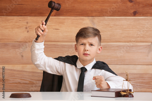 Portrait of little judge si...