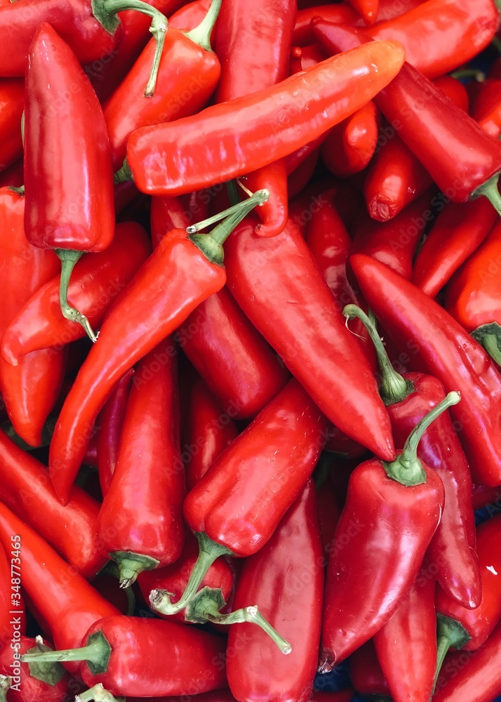 Red pepper harvest