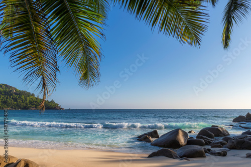 Fototapeta Naklejka Na Ścianę i Meble -  Exotic Tropical beach at sunset and coconut palms on Seychelles. Summer vacation and tropical beach concept.	