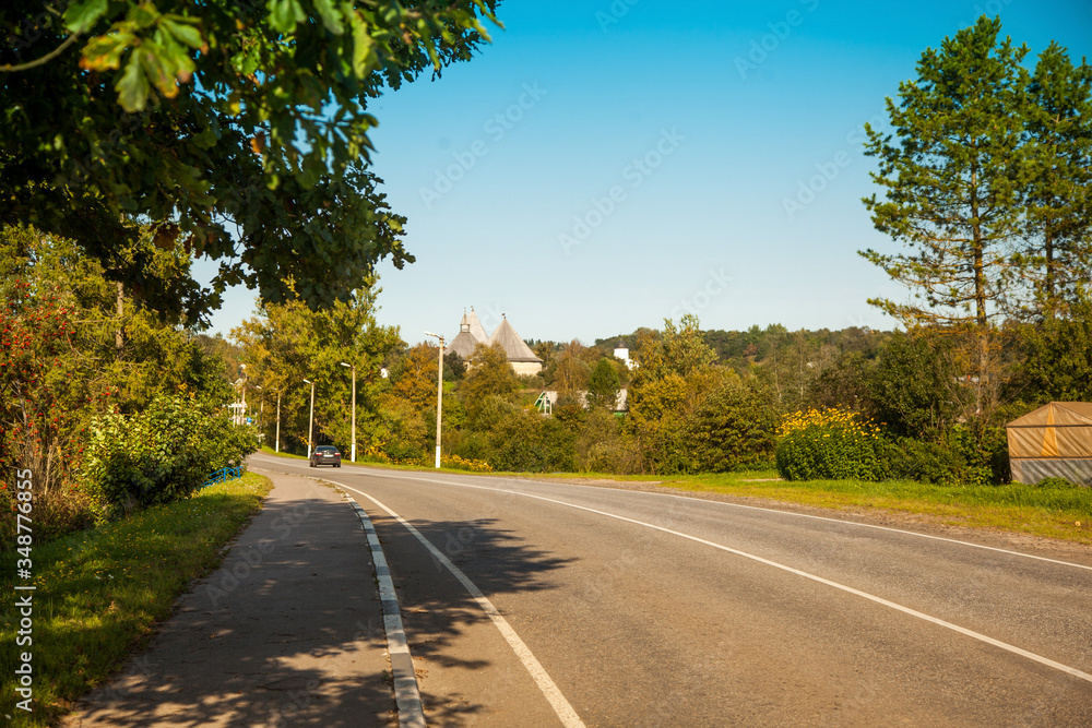 Fototapeta premium Country road summer, green trees