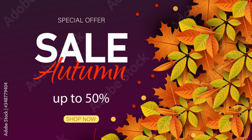 Big autumn sale. Autumn sale vector background.