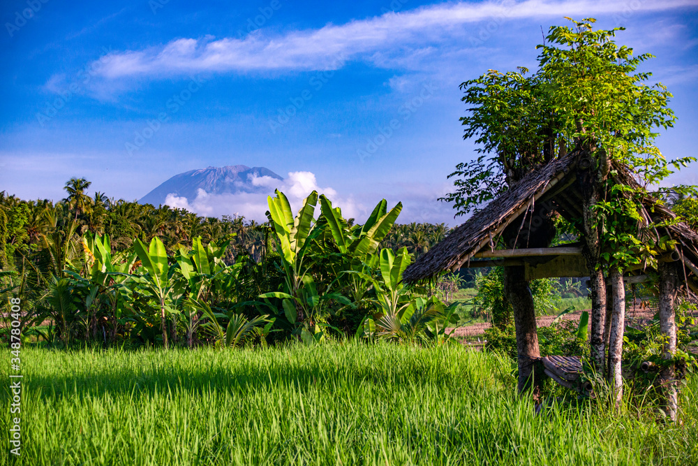 hut on the rice field and a blue sky. Bali, Indonesia