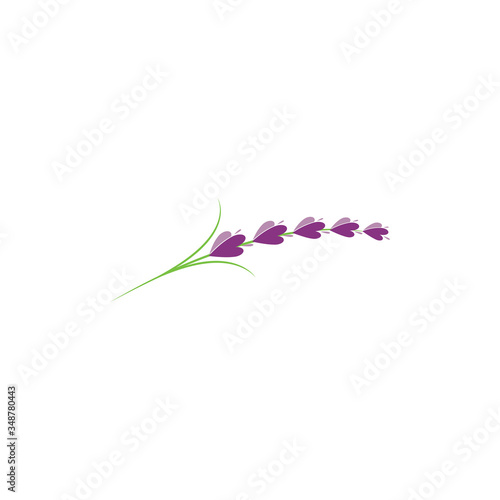 lavender floral aromatic logo vector icon illustration