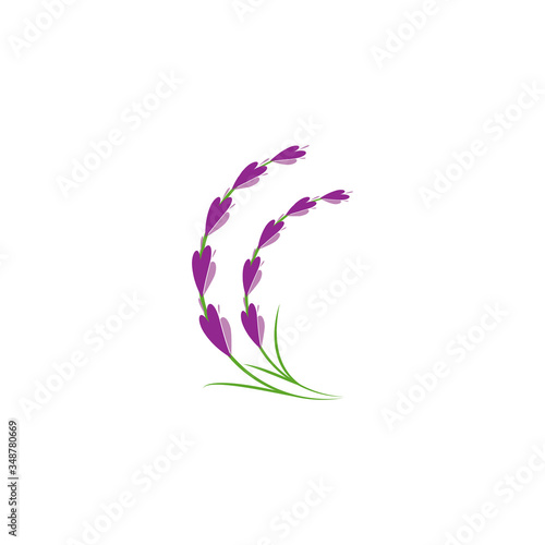 lavender floral aromatic logo vector icon illustration