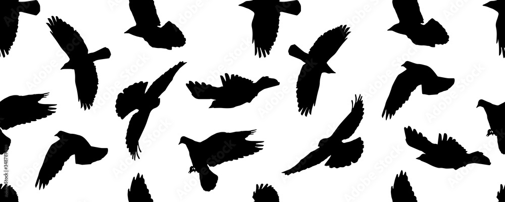 Obraz premium Seamless pattern of black flying birds on white background, isolated silhouettes. Vector illustration.