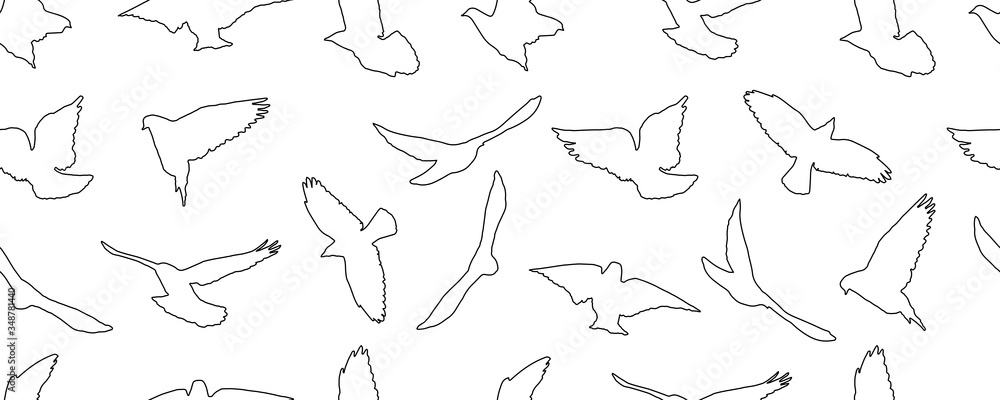 Contour of flying birds, isolated. Seamless pattern. Vector illustration