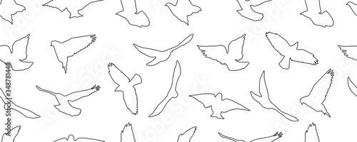 Contour of flying birds, isolated. Seamless pattern. Vector illustration