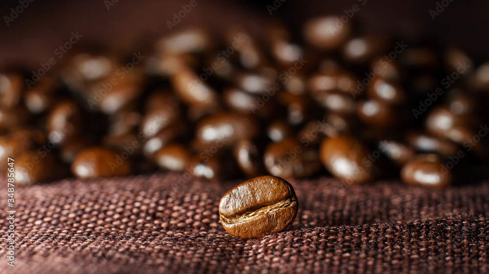 Roasted coffee beans pile on burlap Roasted coffee beans pile on burlap