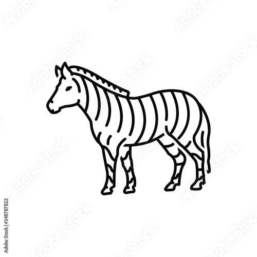 Black line icon for zebra