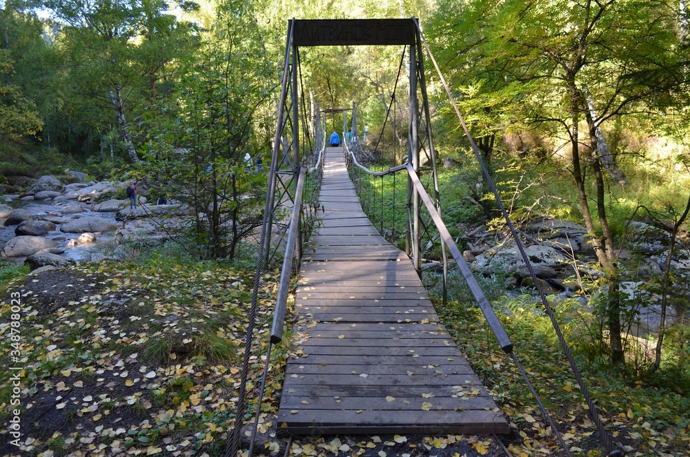 wooden bridge in the forest