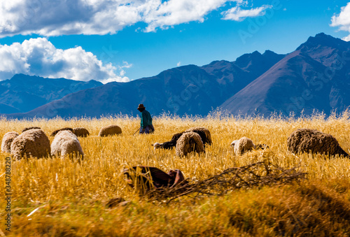 Paisagens no Vale sacrado - peru