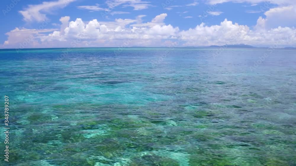 西表島の海 西表島の海