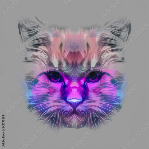 Cat head colorful art illustration 