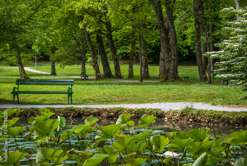 Green sitting bench in the public park with small pond