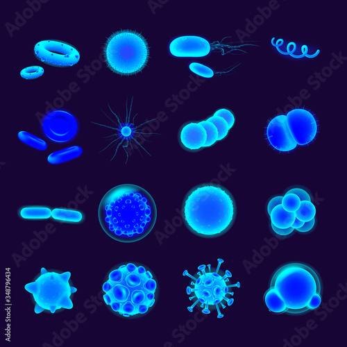 Bacteria realistic vector icons set. Pathogen illustration. Microbiological research. Microbe and virus. 3d isolated color microorganisms of various shapes under microscope on dark blue background