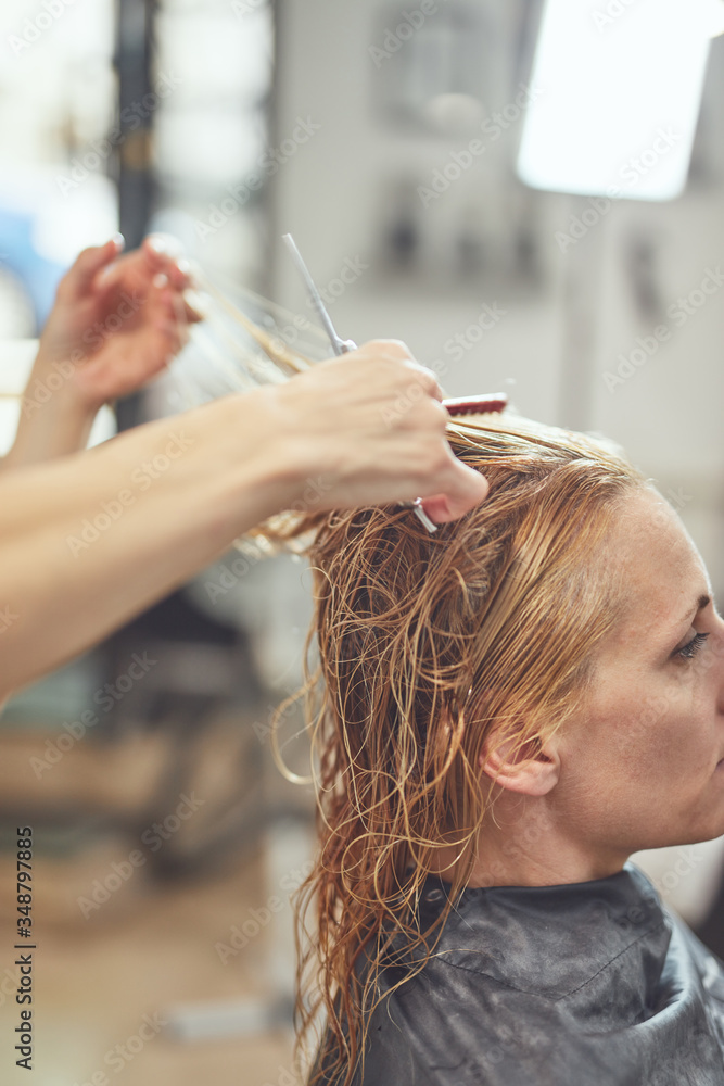 Fototapeta premium Hair dresser cutting hair in a salon.