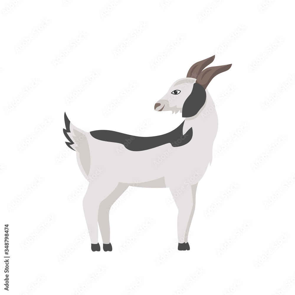 Goat with grey spots flat color vector character. Cute pet with horn and hooves. Farmland and ranch mammal. Domestic animal isolated cartoon illustration for web graphic design and animation