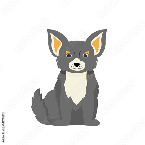 Grey terrier flat color vector character. Domestic animal on walk. Pet sitting and daycare. Dog beauty salon. Puppy sit isolated cartoon illustration for web graphic design and animation