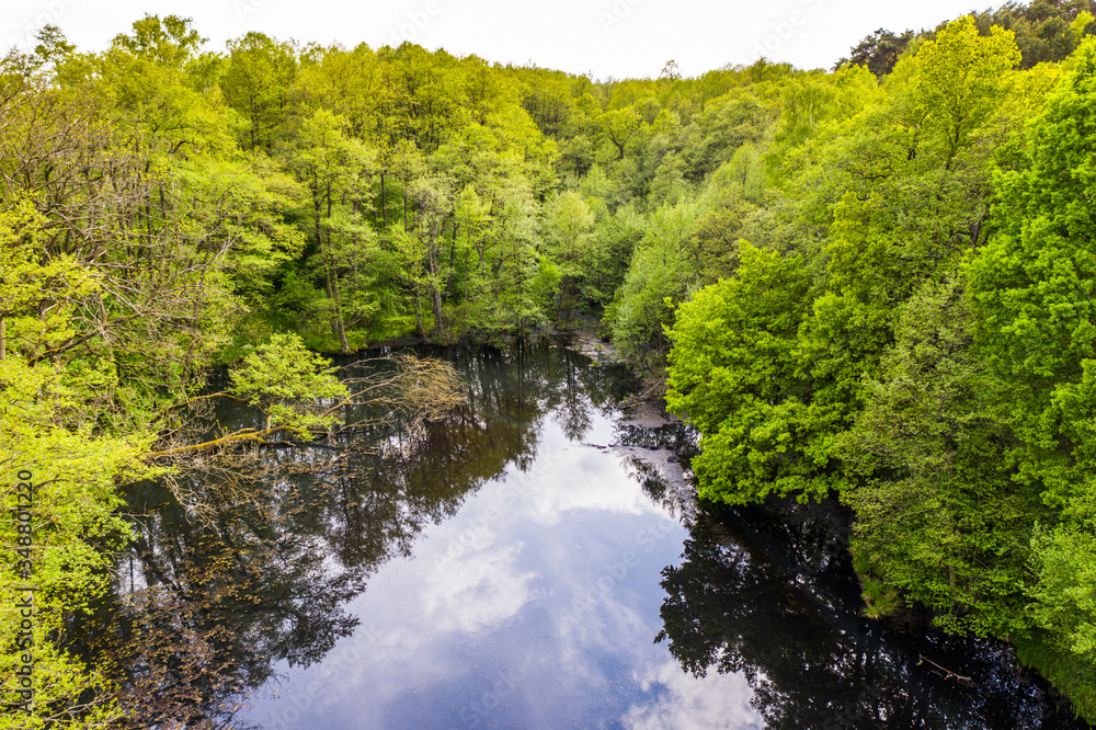 A forest lake nestled in a deciduous forest in spring - aerial view A forest lake nestled in a deciduous forest in spring - aerial view