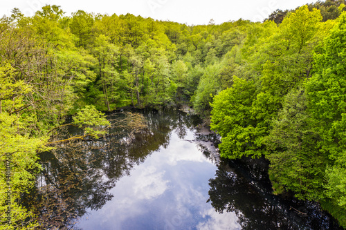 A forest lake nestled in a deciduous forest in spring - aerial view