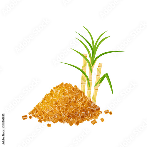 Heap of brown rock cane sugar and sugarcane stems with leaves. Vector illustration cartoon flat icon isolated on white background, template for packaging label design.